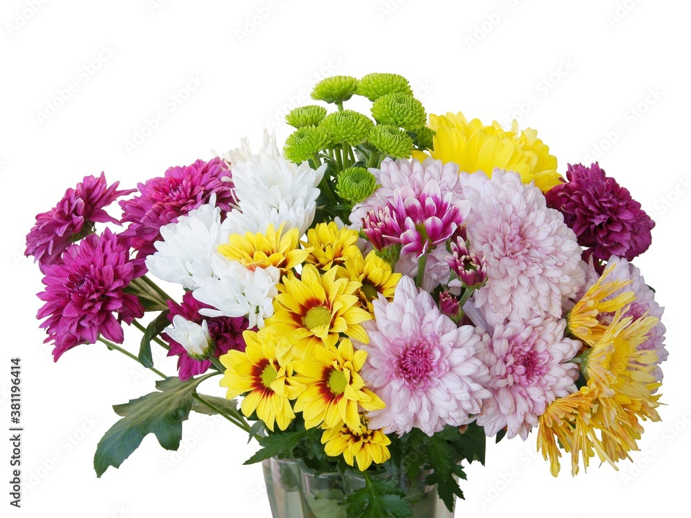Obraz premium multicolor chrysanthemum flowers in vase closse up