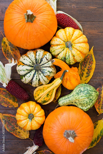 Background of decorative autumn pumpkins