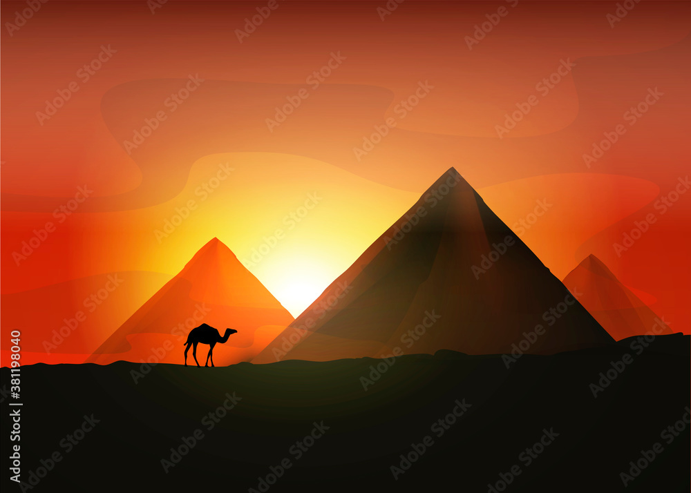 Camel on the background of the Egyptian pyramids