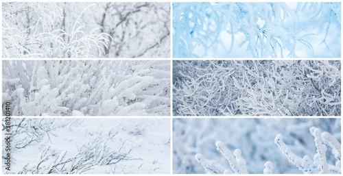 Foto Collection of winter panoramic backgrounds with trees and bushes covered with hoarfrost