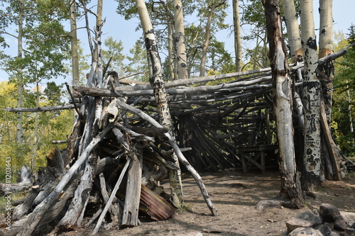 Shelter in Forest