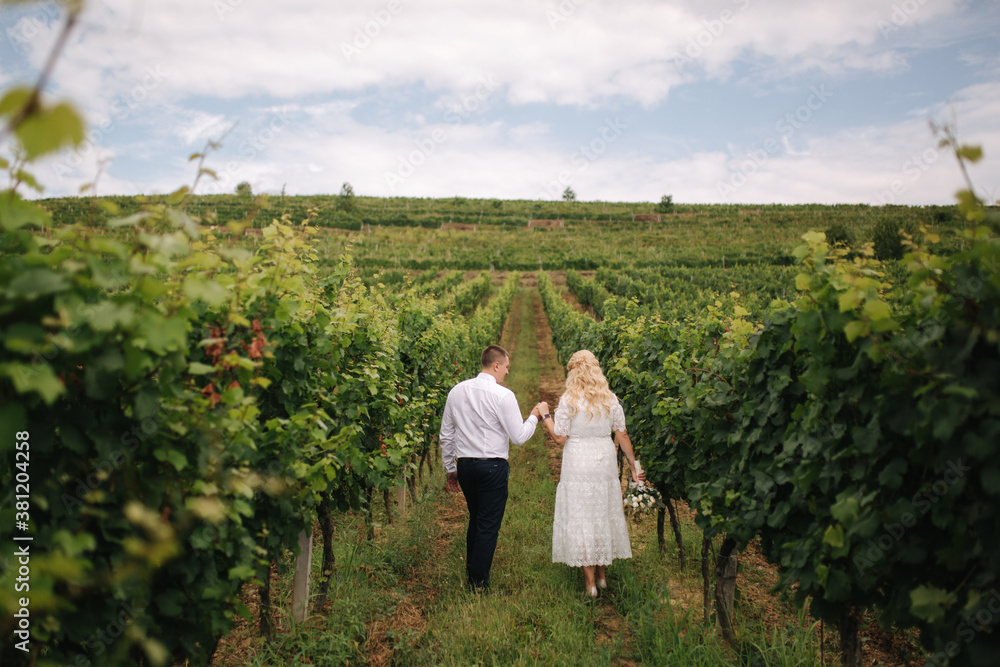 Groom and bride walking in vineyard in their wedding day. Blond hair woman in white dress hold wedding bouquet in hands Groom and bride walking in vineyard in their wedding day. Blond hair woman in white dress hold wedding bouquet in hands