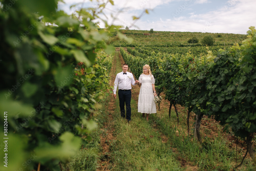 Groom and bride walking in vineyard in their wedding day. Blond hair woman in white dress hold wedding bouquet in hands
