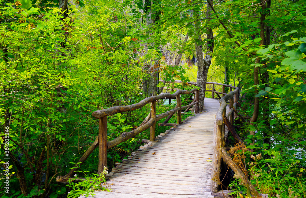 Beautiful forest path trail for nature trekking through lush forest landscape in Plitvice Lakes National Park, UNESCO natural world heritage and famous travel destination of Croatia Beautiful forest path trail for nature trekking through lush forest landscape in Plitvice Lakes National Park, UNESCO natural world heritage and famous travel destination of Croatia