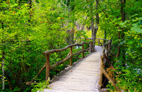 Beautiful forest path trail for nature trekking through lush forest landscape in Plitvice Lakes National Park  UNESCO natural world heritage and famous travel destination of Croatia