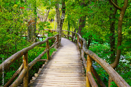 Late summer landscape in Plitvice National Park  Croatia  Europe