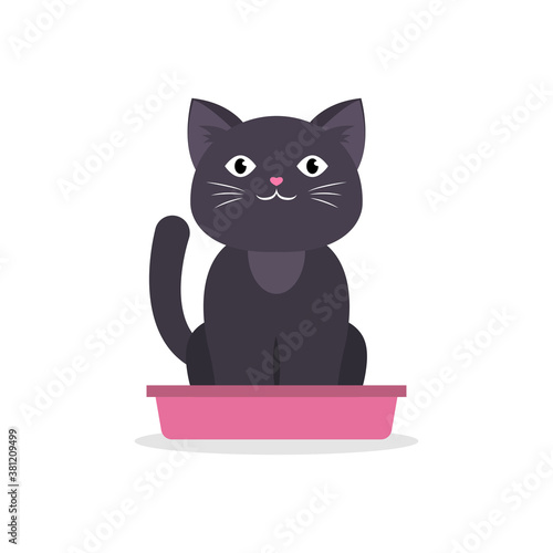 Black cat sitting in litter box, isolated on white.
