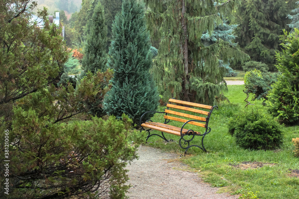 Forged wooden brown bench in botanical garden, a place to relax among green trees in the park Forged wooden brown bench in botanical garden, a place to relax among green trees in the park