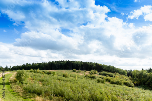 A scenic view of a distant forest the countryside from a country walk