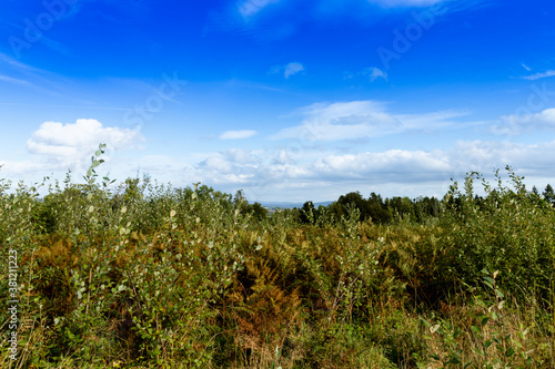 A scenic view on a forest walk