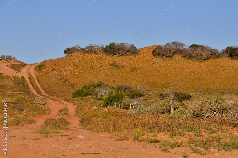 A four wheel drive track passing over a red dune