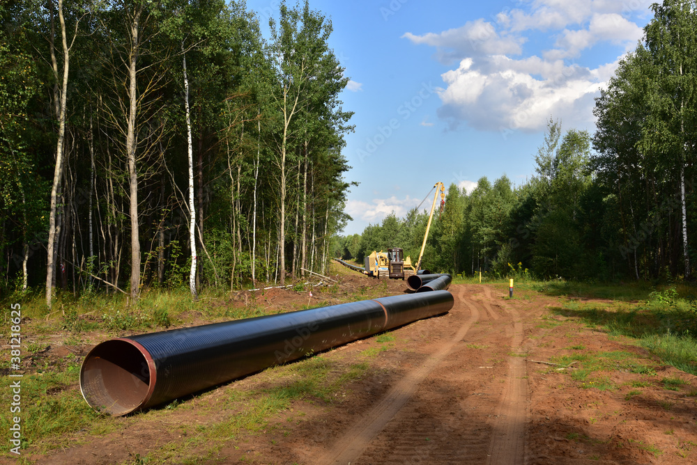 Natural gas pipeline construction work in forest area. Installation of ...