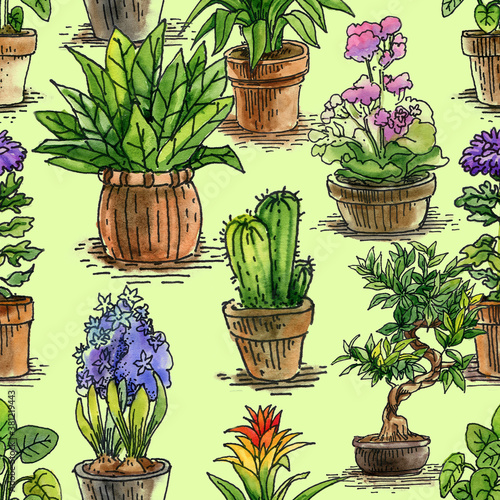 Pattern - decorative plants  summer mood  watercolor drawing