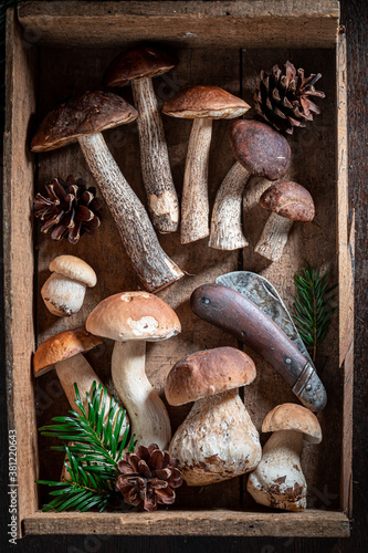 Fresh and wild wild mushrooms freshly collected from the forest