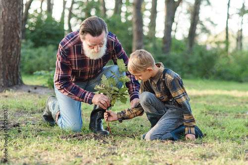 Fotografia Attractive bearded senior grandfather with his lovely grandson on green lawn planting oak seedling and pour with water