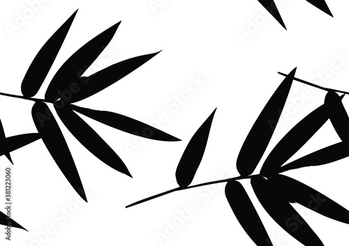 Bamboo leaves, isolated on background, Black and white bamboo leaves