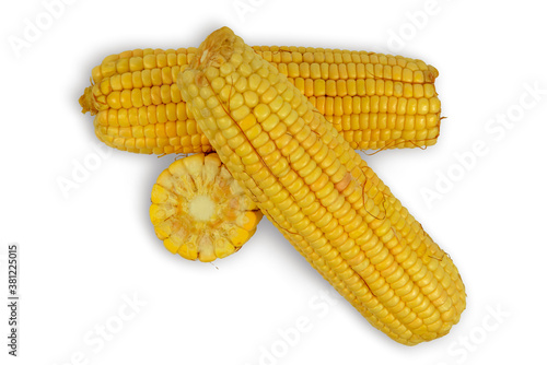 green corn cob isolated
