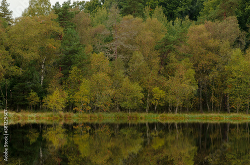 jesienny las i niebo odbite w wodach jeziora, piękny pejzaż lasu
