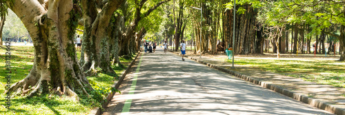 Pessoas com máscaras de proteção ao ar livre no parque do Ibirapuera em São Paulo Brasil - Inicio da Primavera 2020