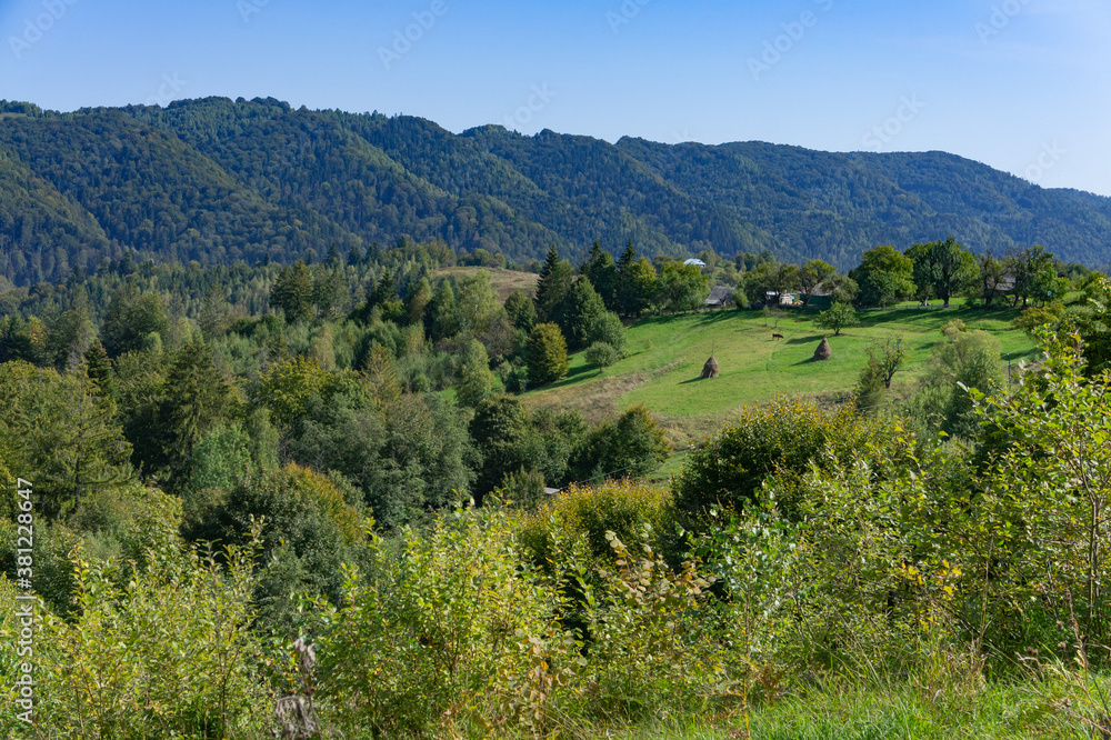 View Of The Carpathian Mountains Landscape