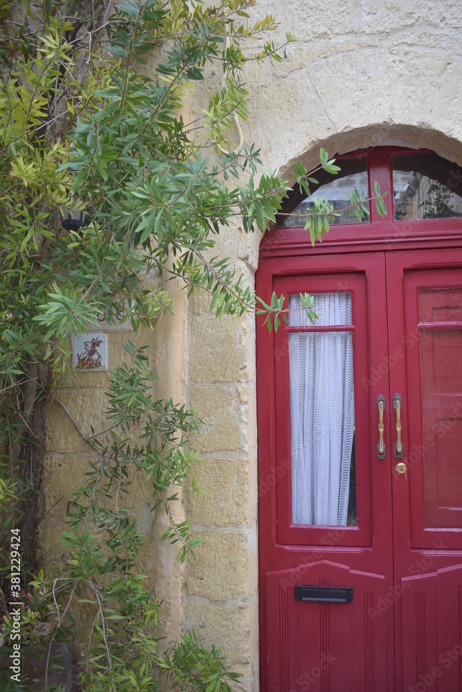 Obraz premium old door