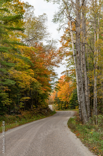 Fall Colours Colors winding road portrait