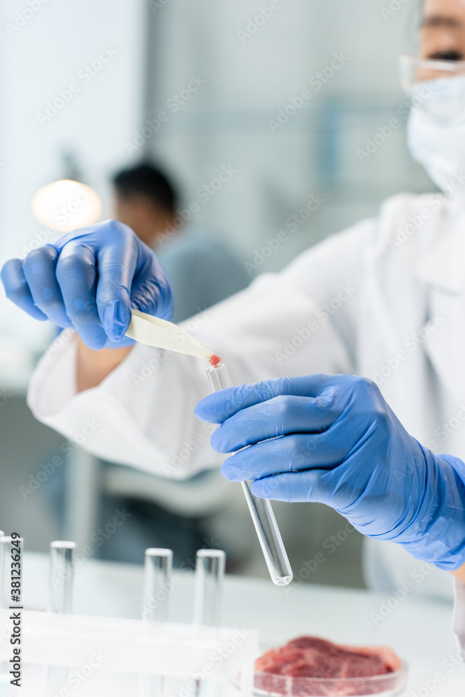 Gloved hands of contemporary researcher putting sample of raw meat into flask Gloved hands of contemporary researcher putting sample of raw meat into flask