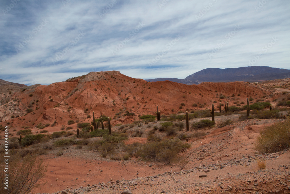Desert landscape. The red hills. View of the arid canyon, desert flora, giant cactus Echinopsis atacamensis, sand, sandstone and rocky mountains with beautiful mineral colors and textures. Desert landscape. The red hills. View of the arid canyon, desert flora, giant cactus Echinopsis atacamensis, sand, sandstone and rocky mountains with beautiful mineral colors and textures.