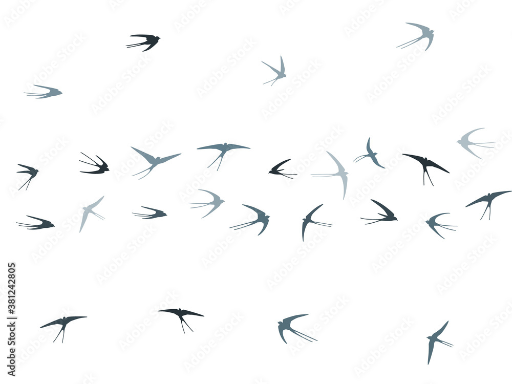 Flying martlet birds silhouettes vector illustration. Nomadic martlets group isolated on white. 