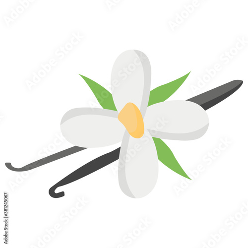 Vanilla Flower
