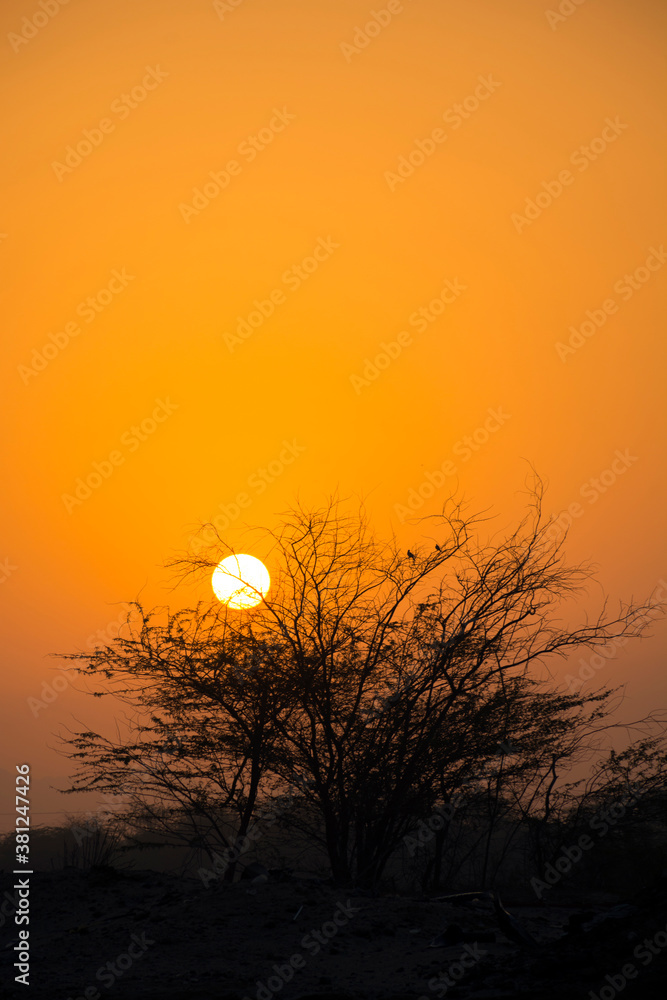 Fototapeta premium sunrise