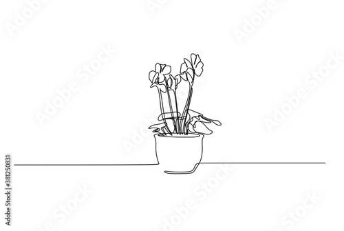 Flower in the pot - Continuous one line drawing