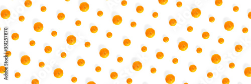 Fototapeta Naklejka Na Ścianę i Meble -  Isolated tangerine citrus collection background. Whole tangerines or mandarin orange fruits isolated on white background. Banner