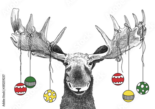 Funny Christmas moose with Christmas ornaments hanging from antlers, holiday party animal drawing for invitations or card, hand drawn sketch of moose