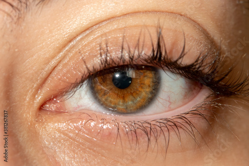 Fototapeta Naklejka Na Ścianę i Meble -  brown half-open eye of a young Brazilian woman