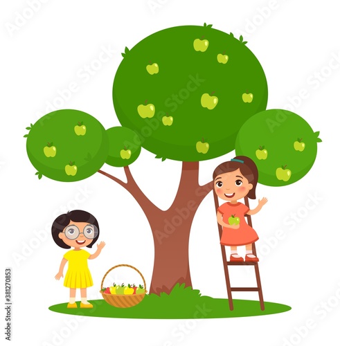 Children picking apples color flat vector illustration. Two little girls harvesting fruits together. One girl on ladder and one girl near apple tree in garden. Isolated cartoon characters on white