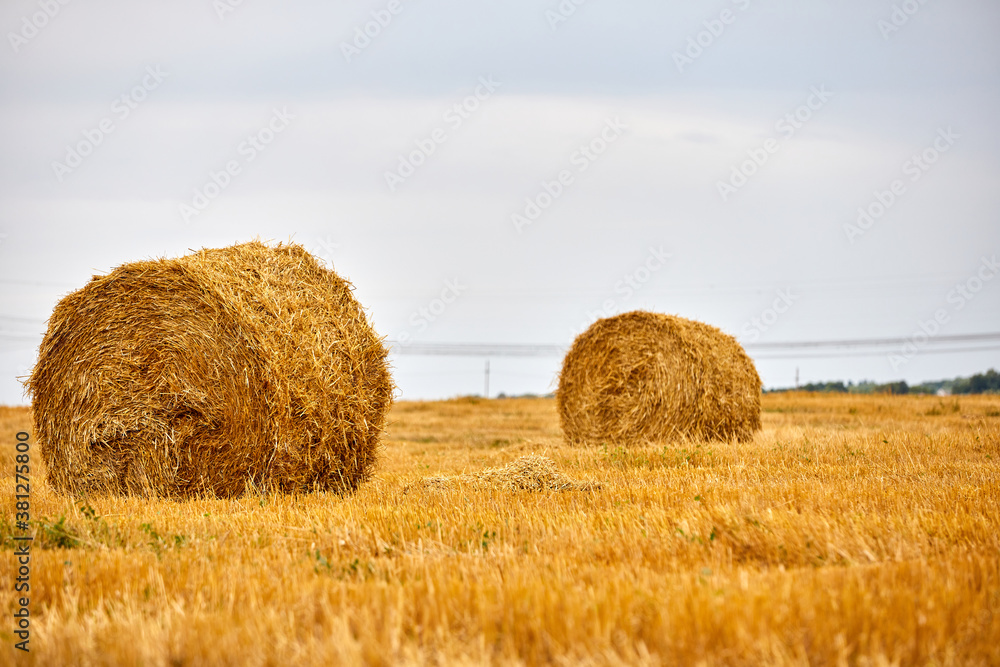 Bright yellow dry Rolls of haystacks on the summer field. Rural landscapes
