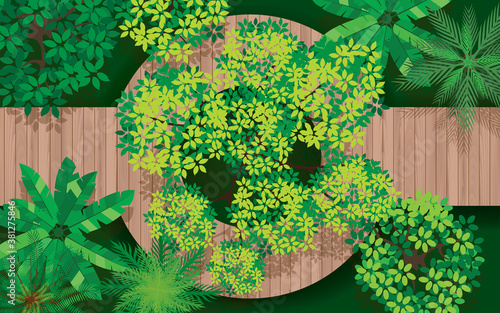 topview wooden bridge in the forest