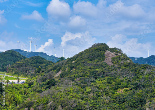 伊豆石廊崎の風景