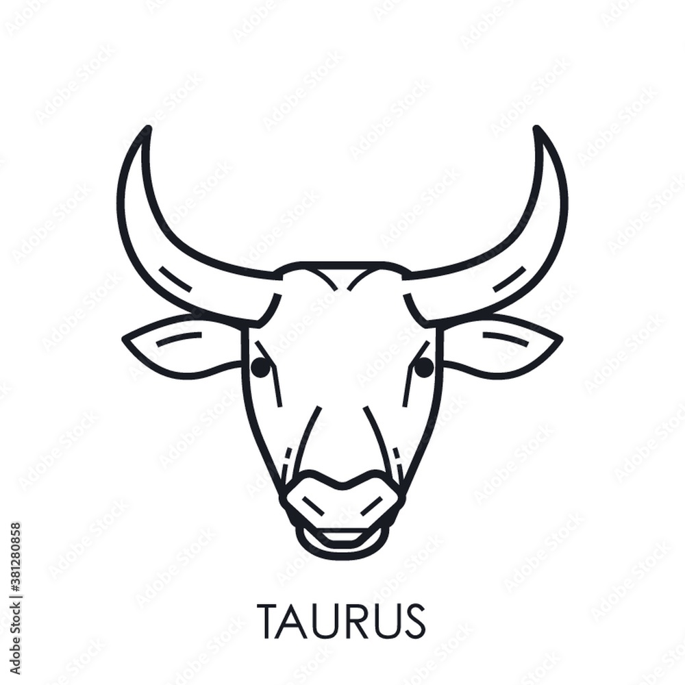 Taurus Taurus