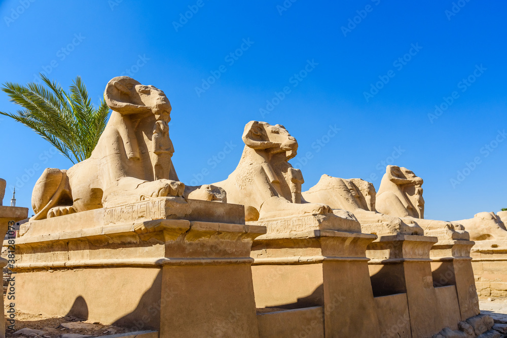 Naklejka premium Avenue of the ram-headed Sphinxes in a Karnak Temple. Luxor, Egypt