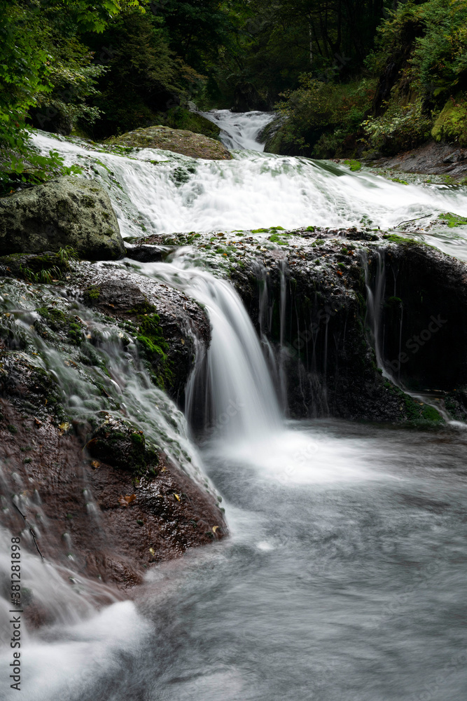 Obraz premium 初秋のおしどり隠しの滝
