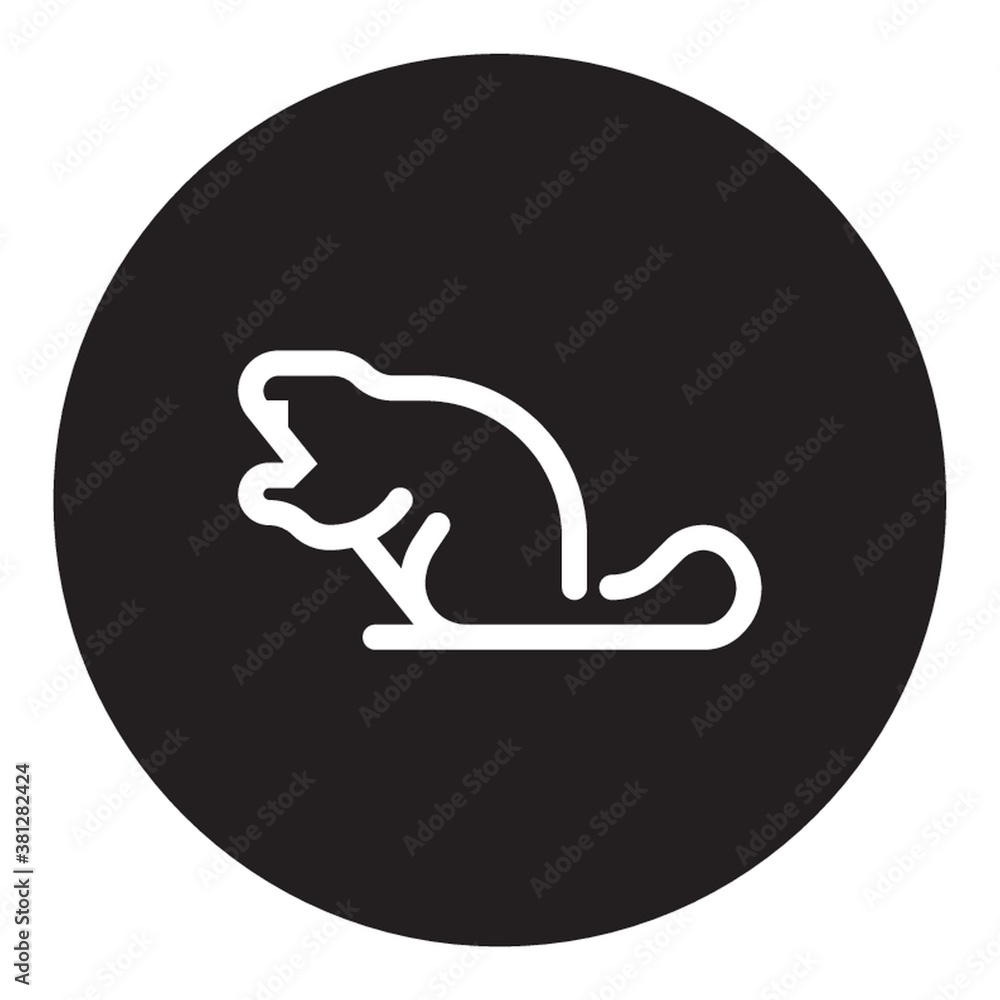 beaver on a white background