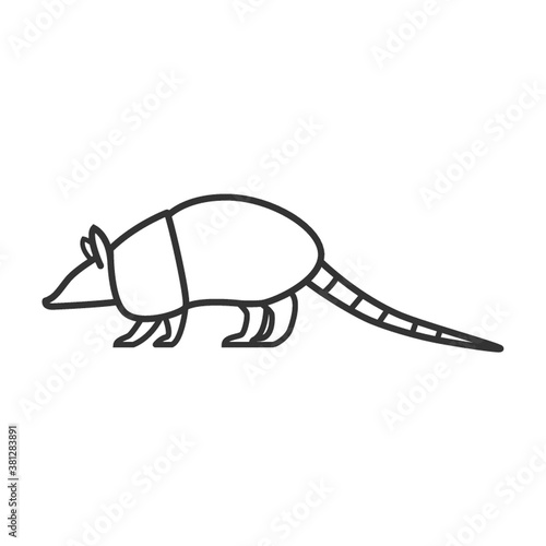 armadillo