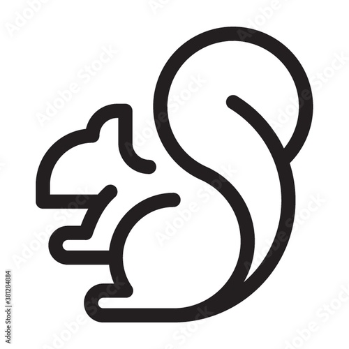 Squirrel on a white background