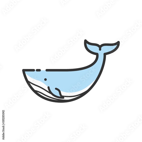 Whale on a white background