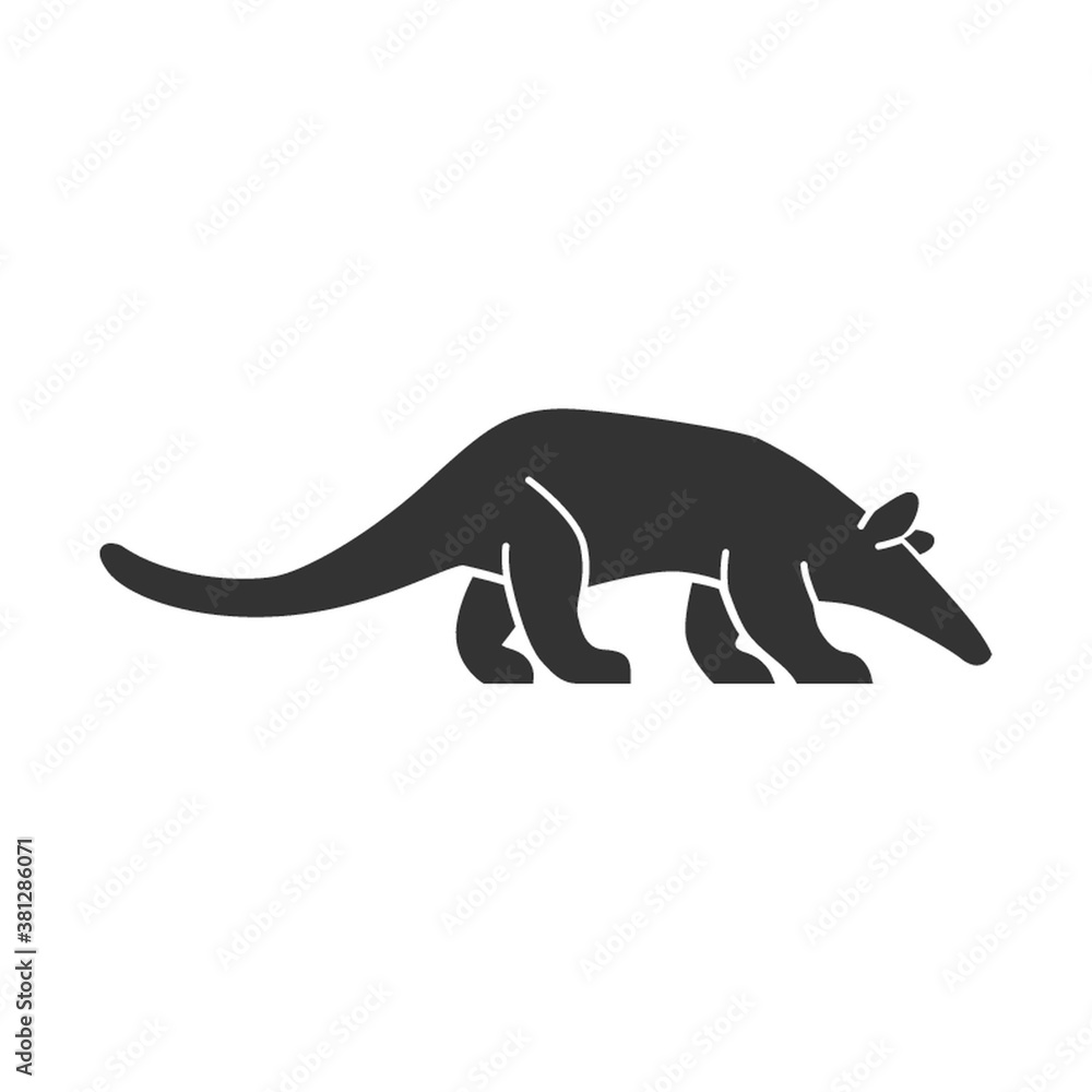 Fototapeta premium aardvark