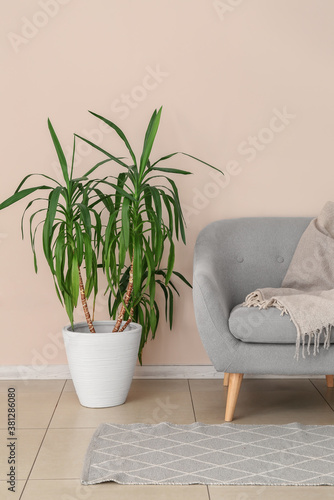 Stylish armchair with house...