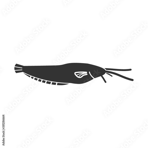 catfish
