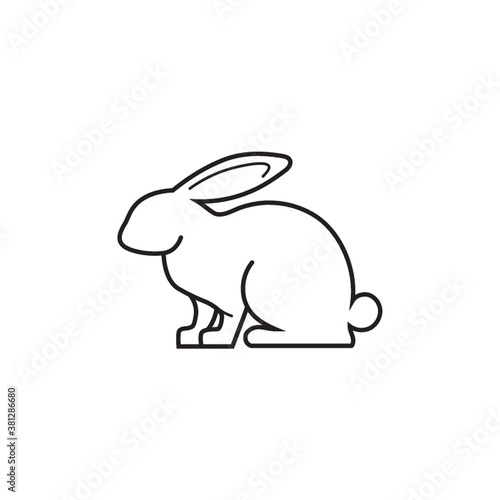 rabbit
